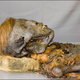 Illustration for article titled The Mysterious "Accidental Mummies" of Medieval Siberia